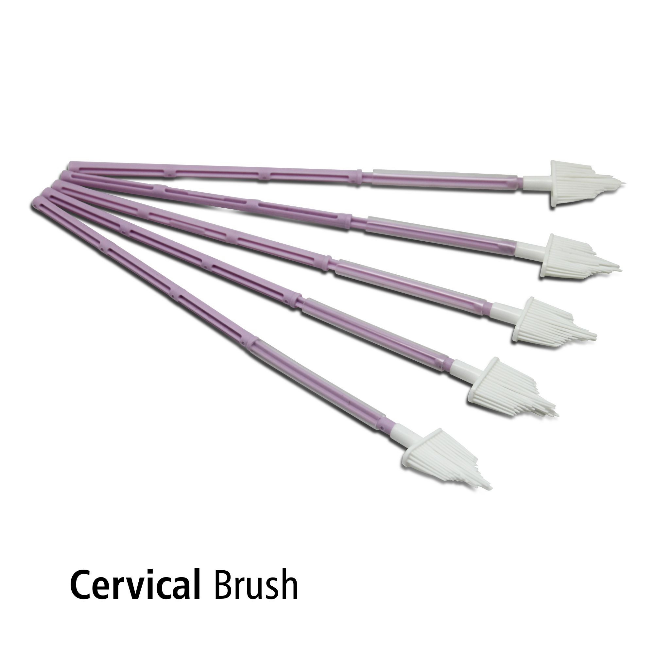 Cervical Brush OneMed